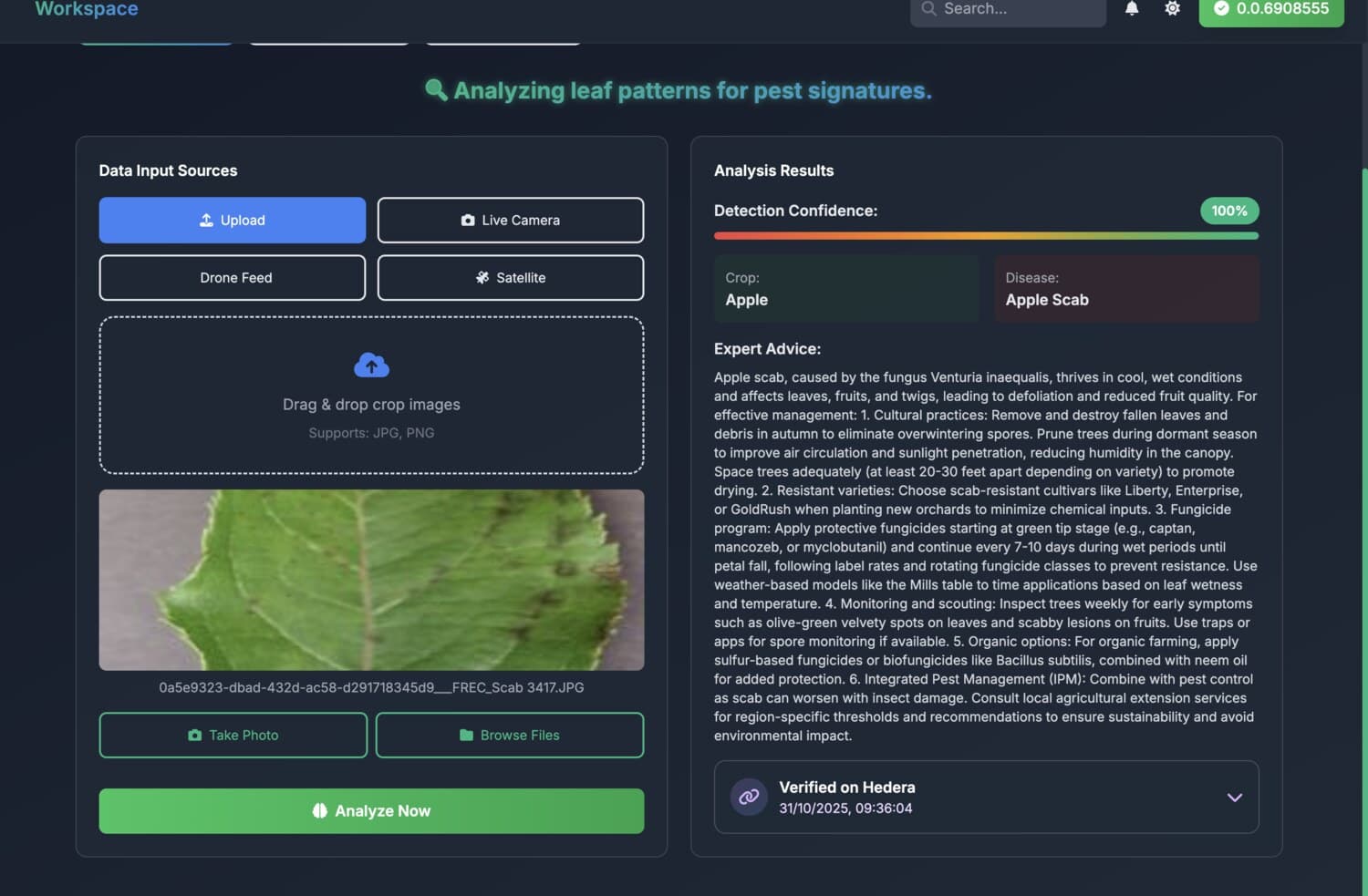 The AgriSense AI workspace detecting apple scab from a leaf photo, with expert advice and Hedera verification